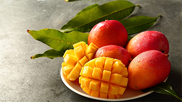 抽選プレゼント