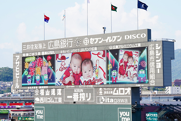カープ赤ちゃん写真展
