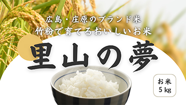 抽選プレゼント