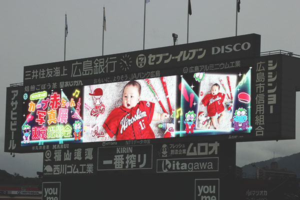 カープ赤ちゃん写真展