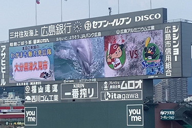 広島東洋カープ公式サイト